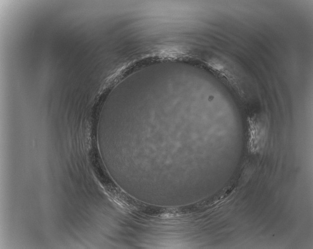 X0000060550496200511101541