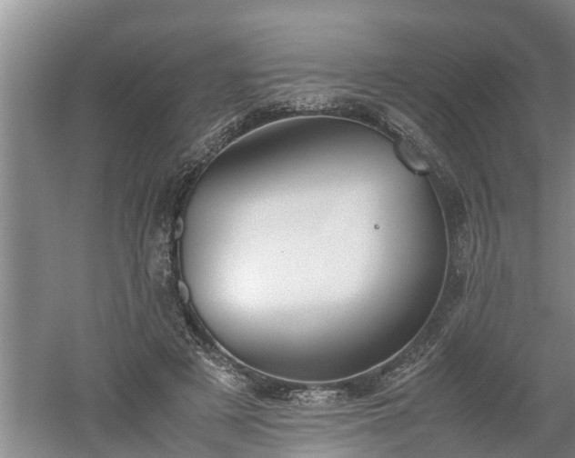 X0000060550497200511101541