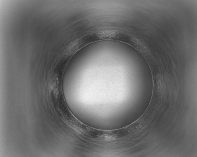 X0000060550498200511101541