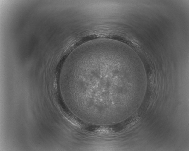 X0000060550499200511101541