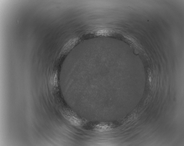 X0000060550502200511101541