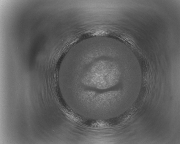 X0000060550503200511101541