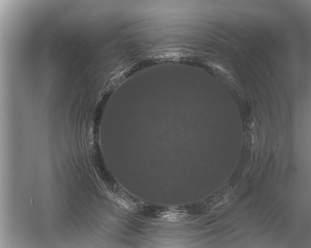 X0000060550504200511101541