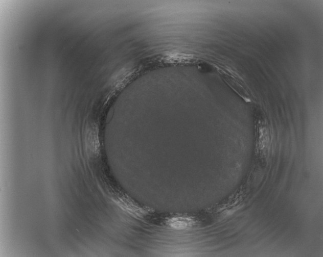 X0000060550508200511101541