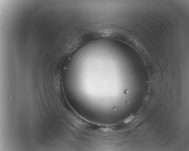 X0000060550509200511101541