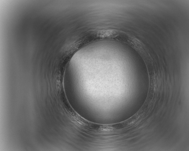 X0000060550510200511101541