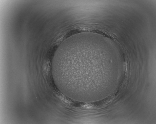 X0000060550511200511101541