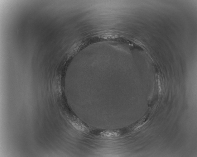 X0000060550512200511101541