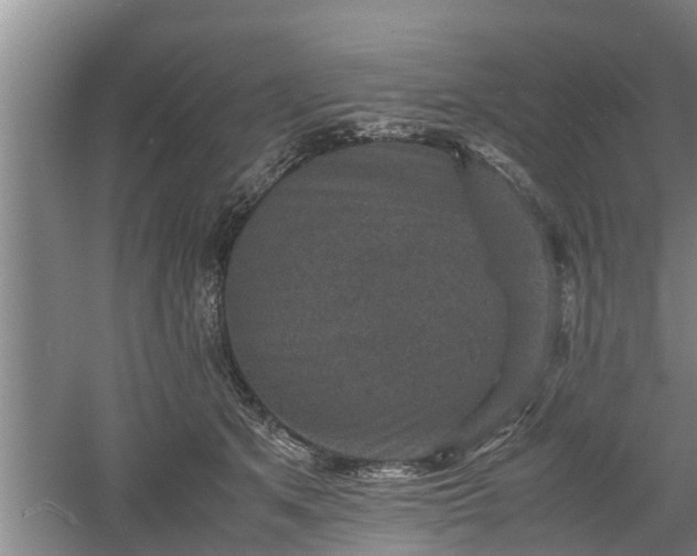 X0000060550513200511101541