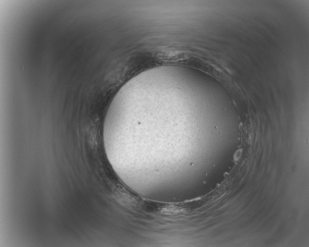 X0000060550515200511101541