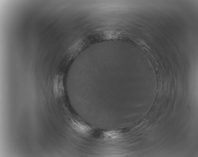 X0000060550516200511101541