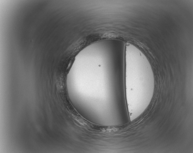 X0000060550517200511101541