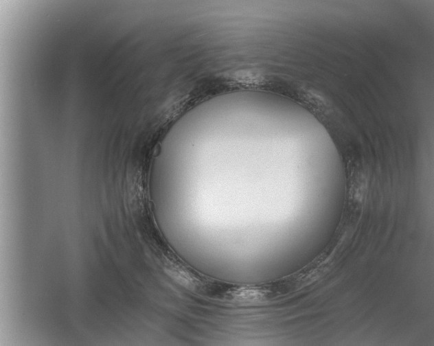 X0000060550518200511101541