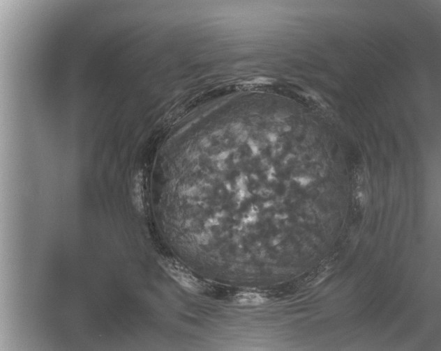 X0000060550519200511101541