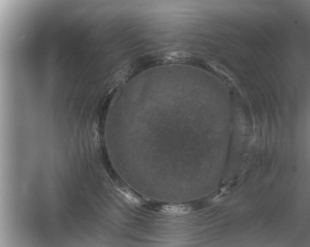 X0000060550520200511101540