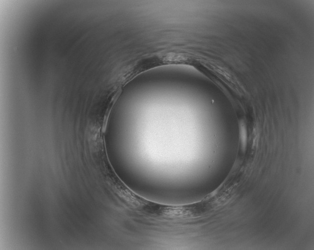 X0000060550521200511101540