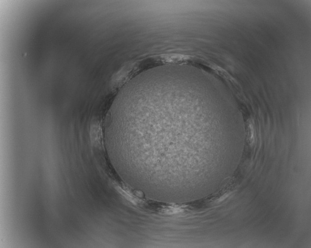 X0000060550523200511101540