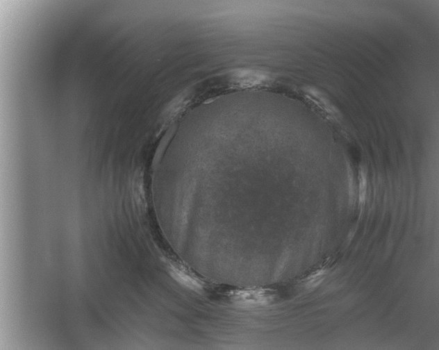 X0000060550524200511101540