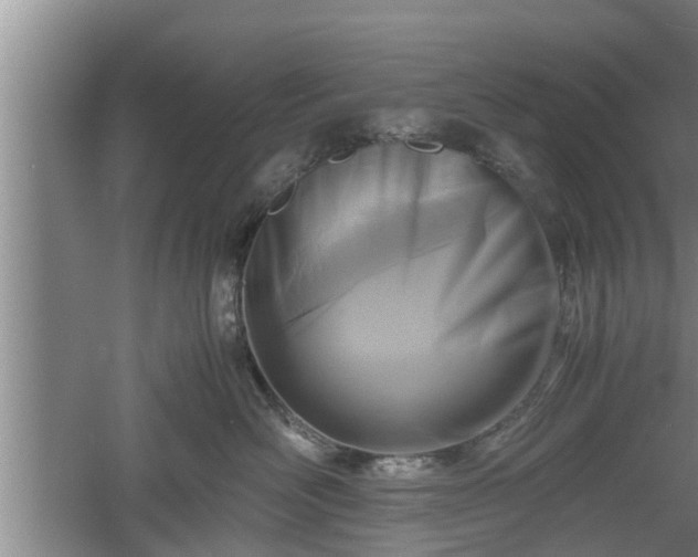 X0000060550526200511101540