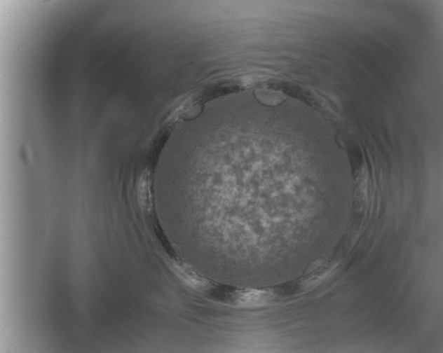 X0000060550527200511101540