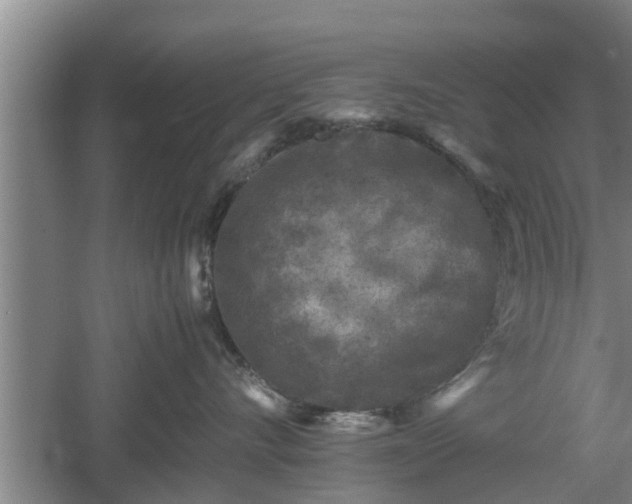 X0000060550528200511101540