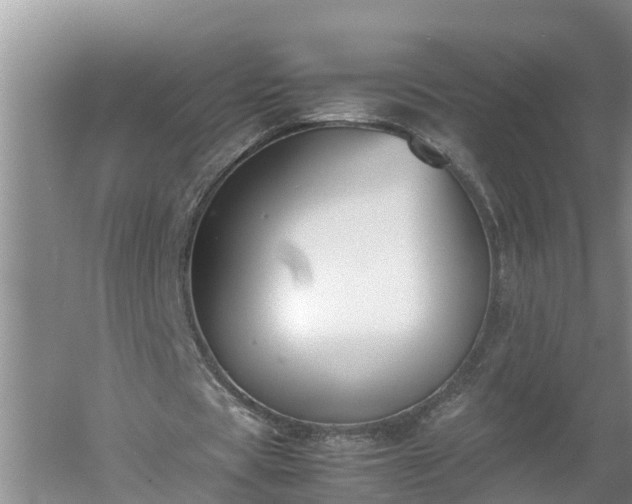 X0000060550529200511101540