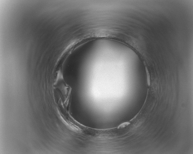 X0000060550530200511101540