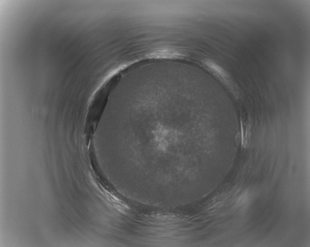 X0000060550531200511101540