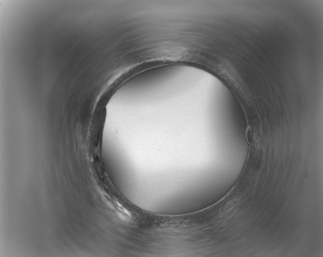 X0000060550532200511101540