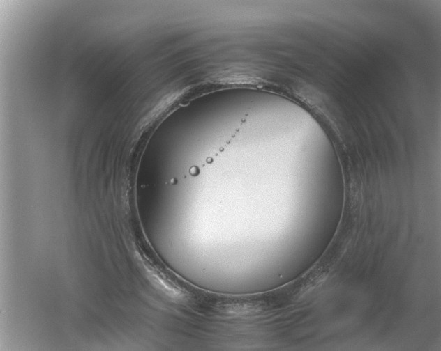 X0000060550533200511101540