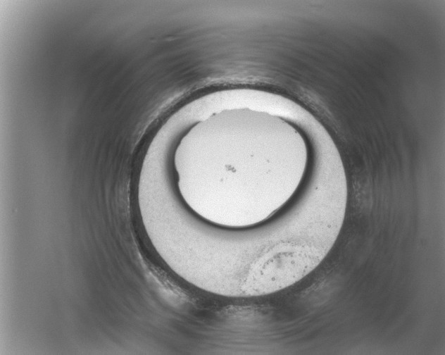 X0000060550534200511101540