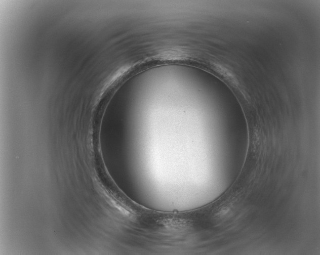 X0000060550535200511101540