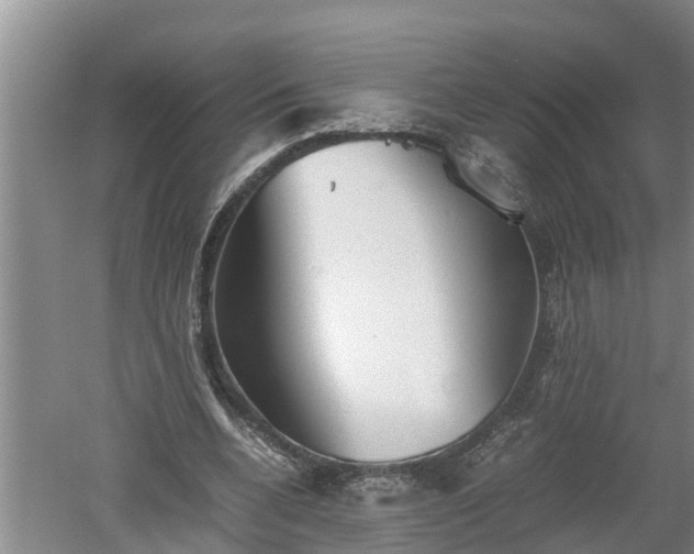 X0000060550536200511101540