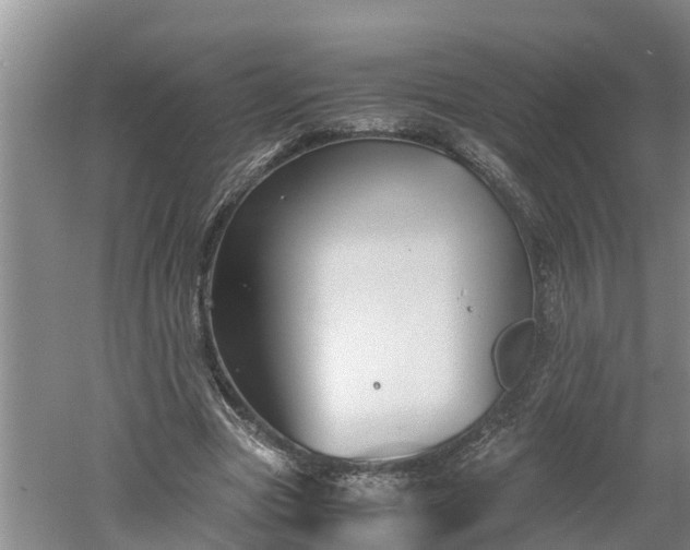 X0000060550537200511101540