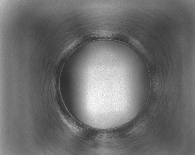 X0000060550538200511101540