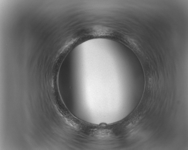 X0000060550539200511101540