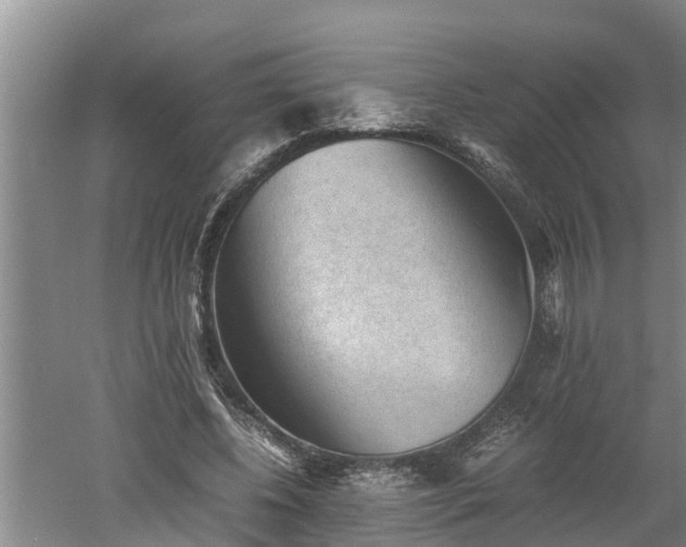 X0000060550540200511101540