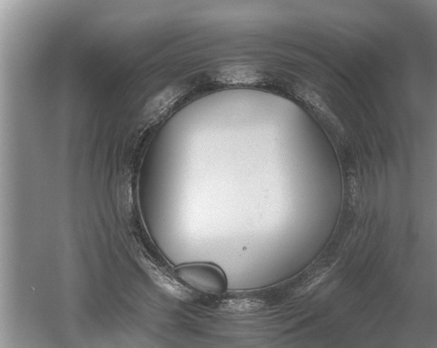 X0000060550541200511101540