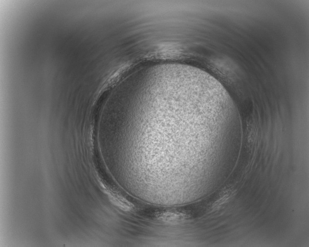 X0000060550542200511101540