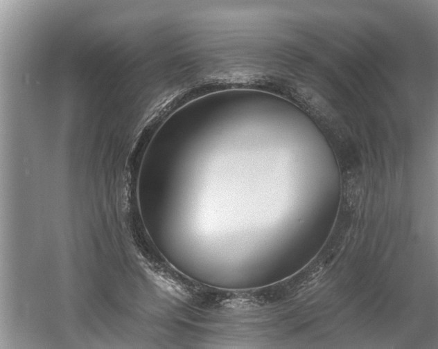 X0000060550544200511101540