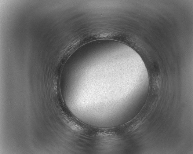 X0000060550545200511101540