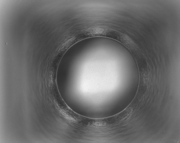 X0000060550546200511101540