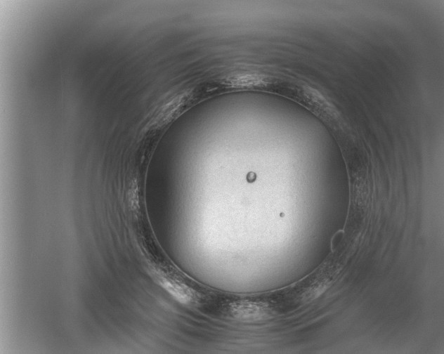 X0000060550549200511101540