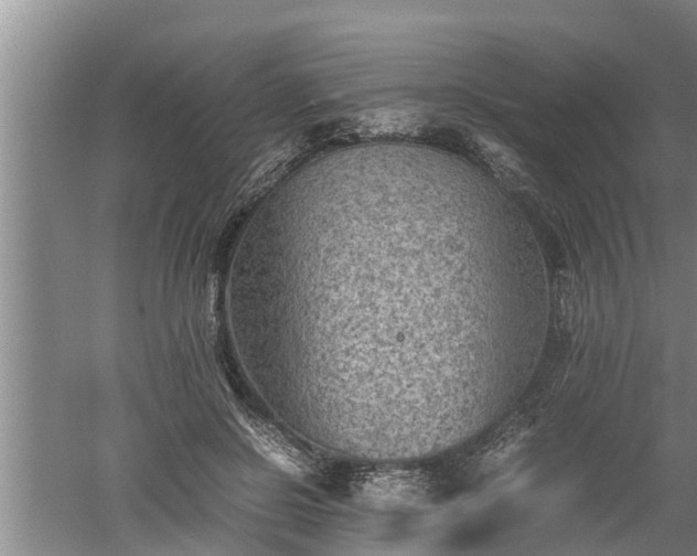 X0000060550550200511101540