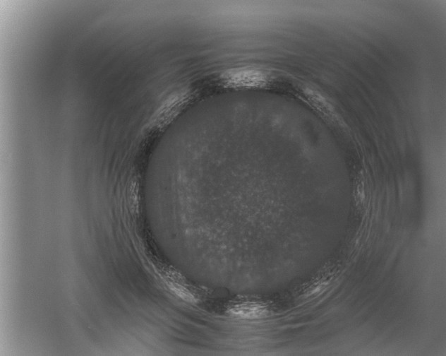 X0000060550551200511101540