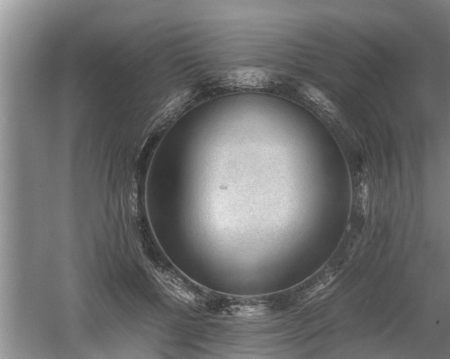 X0000060550552200511101540