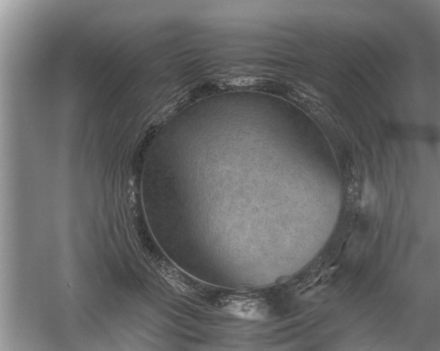 X0000060550555200511101540