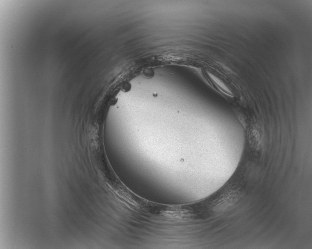 X0000060550556200511101540