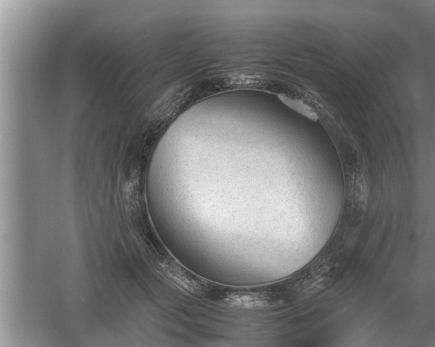 X0000060550557200511101540