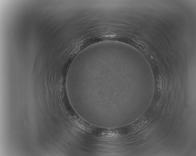 X0000060550559200511101540